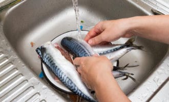 подготовка скумбрии