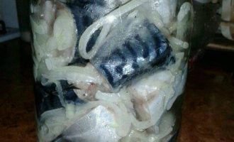 скумбрия в банке кусочками