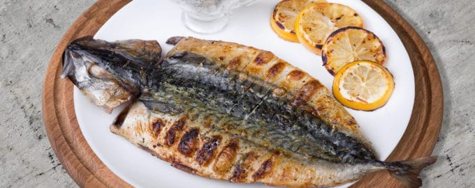 вариант подачи скумбрии