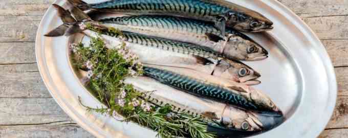 несколько скумбрий