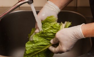 листья салата