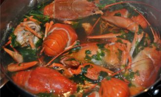 варка лангустинов