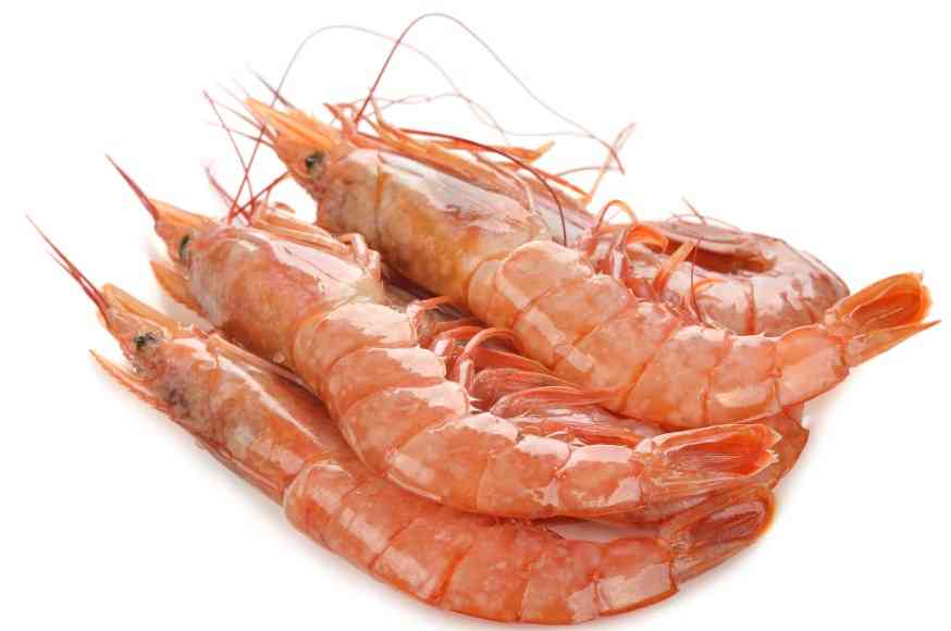 лангустины