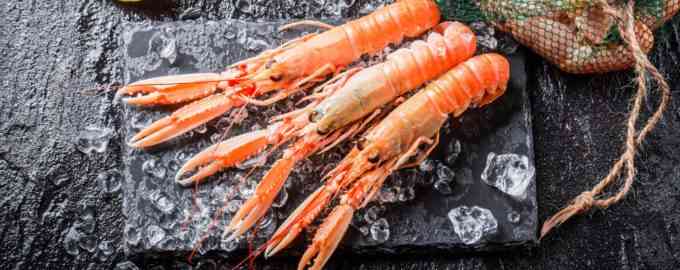 несколько лангустинов