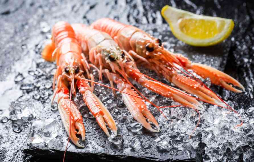 большие лангустины