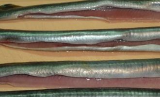 сарган очищенный