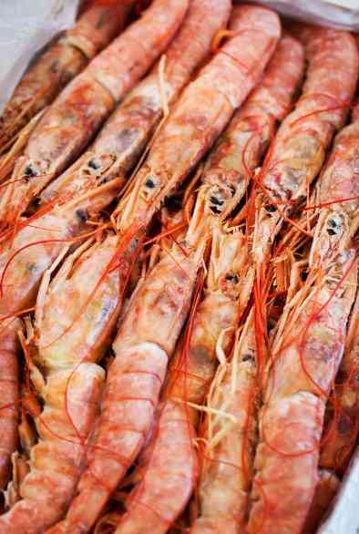 замороженные лангустины