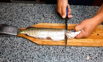 щука с головой