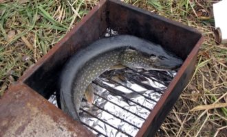 подготовка к копчению