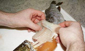 чистка щуки