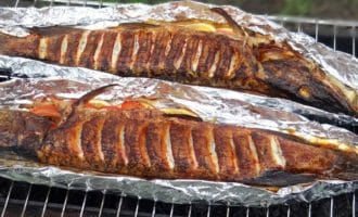 румяная щука