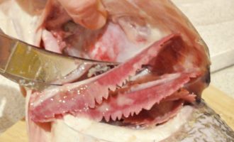 разделка щуки