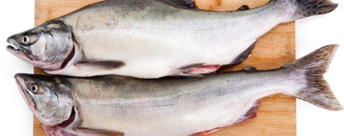 рыба горбуша
