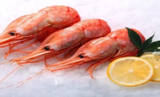 внешний вид гребенчатой креветки