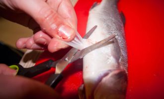 как почистить судака