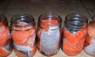 как правильно солить горбушу