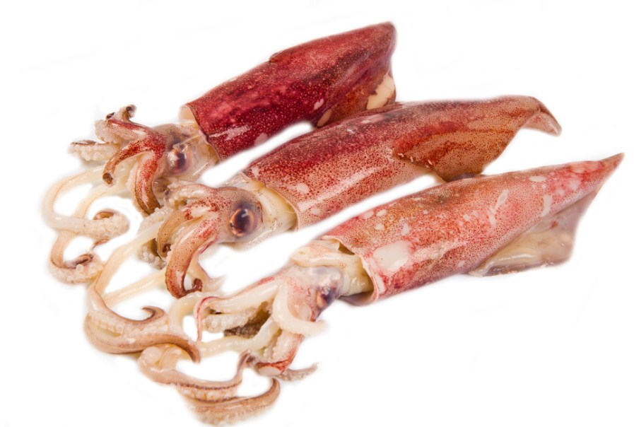 три кальмара