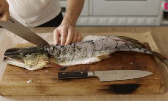 чистка щуки