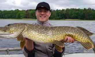 особенности ловли щуки