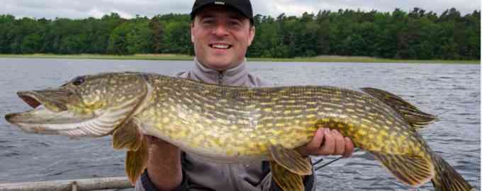 особенности ловли щуки