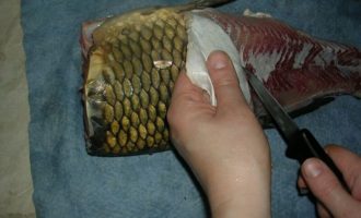 чистка карпа