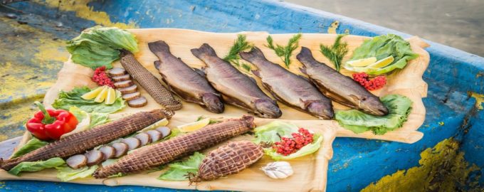 как правильно коптить щуку