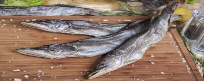 сушеная щука