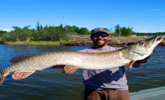 поймана огромная щука