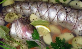 судак перевязанный нитью