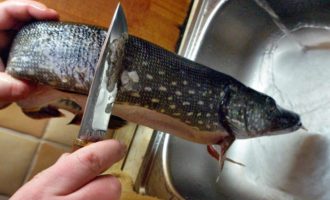 чистка щуки ножом
