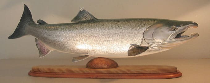 особенности строения рыбы кижуч