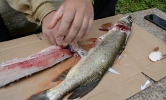 как разделать рыбу