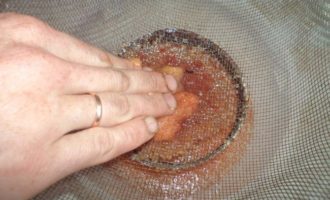 икра на сите