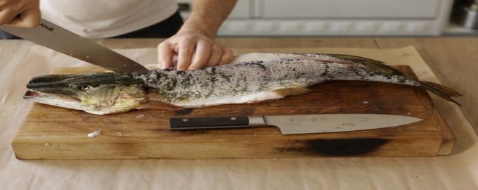 разделка белой рыбы
