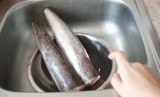 свежие тушки хека