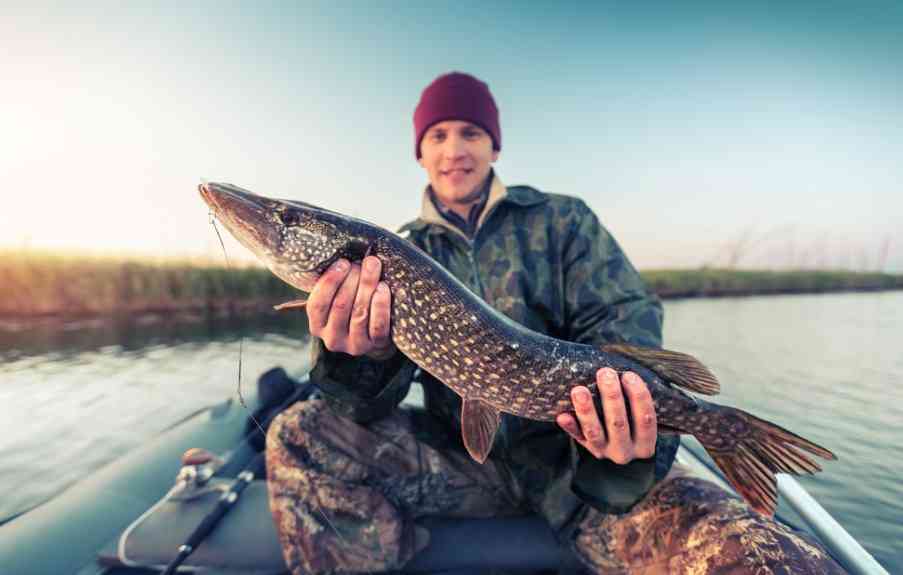 рыбак поймал щуку