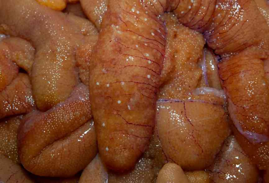 икра в ястыках