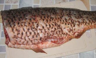 как подготовить сазана к приготовлению