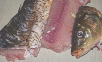 разделанная тушка сазана