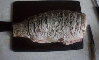 прорези на тушке сазана