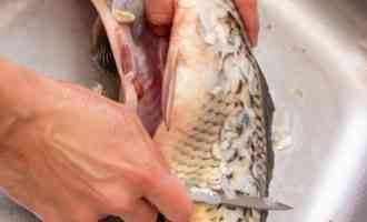 чистка чешуи
