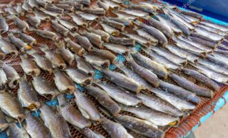 таранка из плотвы