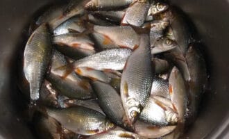 подготовка плотвы к пиву