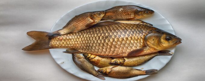 варианты приготовления карася