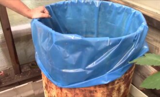 плотва в пакете