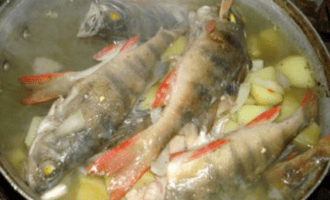 отварной окунь