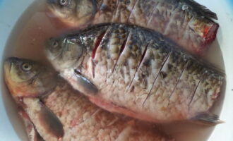 небольшие караси