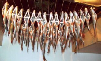 потрошеная плотва