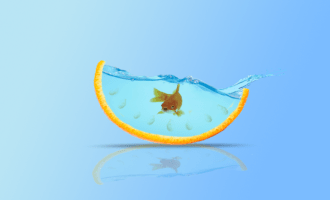 какие рыбы могут жить в аквариуме