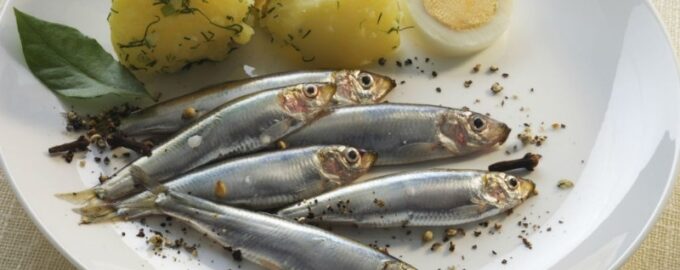 малосольная килька